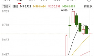 “稀土大王”倒在了2亿债务上
