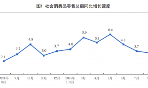 4500亿国补落幕，谁是最大受益者？